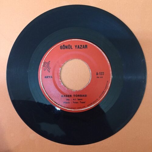 Gönül Yazar - Seni Hatırlıyorum - Görsel 2