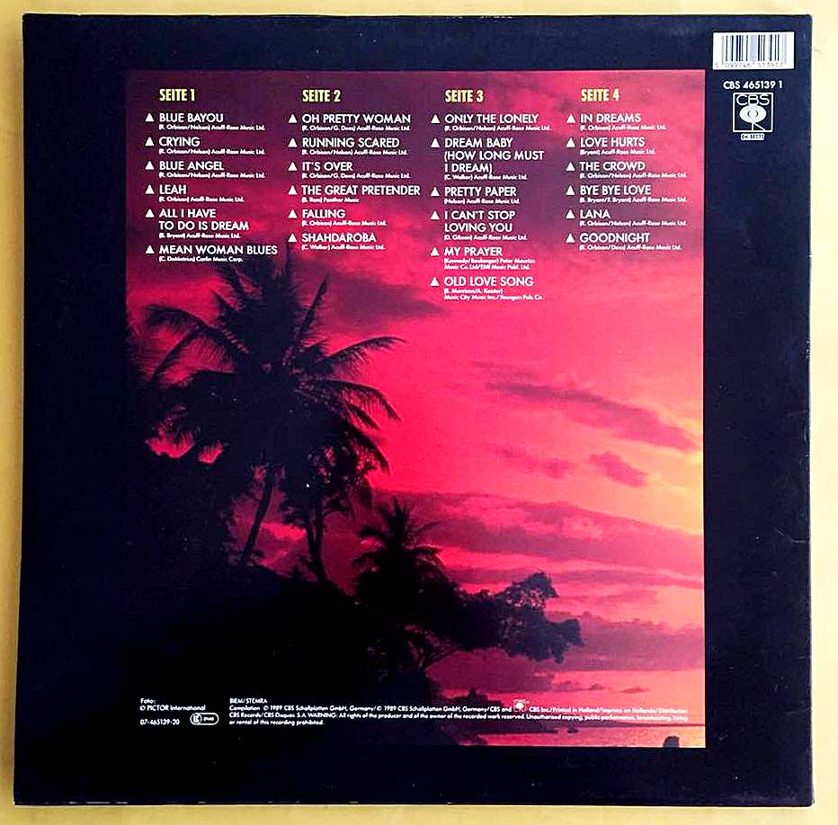 Roy Orbison – Blue Bayou -2 LP - Görsel 2