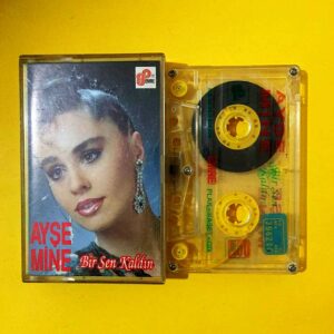 Ayşe Mine - Bir sen kaldın