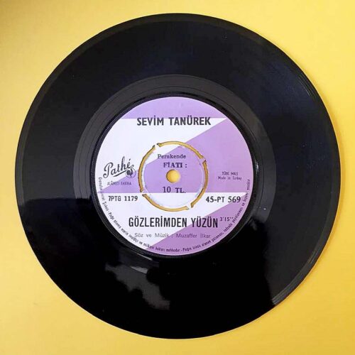 Sevim Tanürek - Kışlada Bahar - İbibikler - Görsel 2