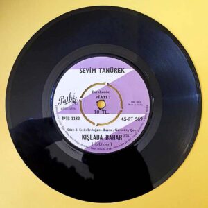 Sevim Tanürek - Kışlada Bahar - İbibikler