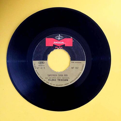 Yıldız Tezcan - Göz Yaşlarım - Görsel 2