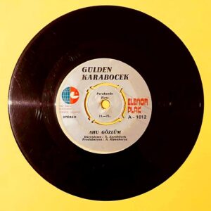 Gülden Karaböcek - Ahu Gözlüm