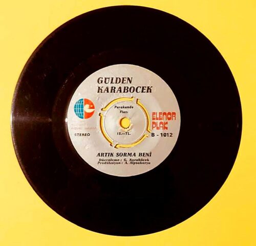 Gülden Karaböcek - Ahu Gözlüm - Görsel 2