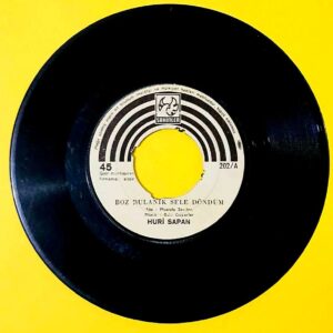 Huri Sapan - Boz Bulanık Sele Döndüm