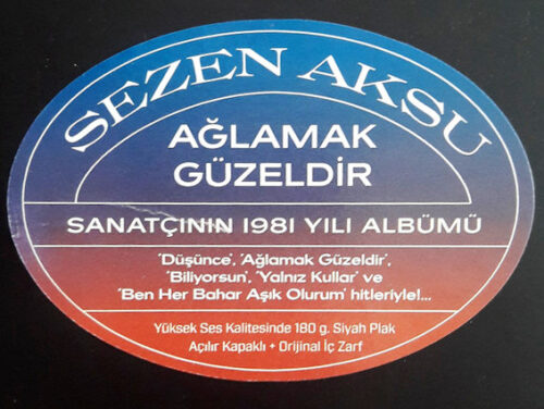Sezen Aksu - Ağlamak Güzeldir - Görsel 3