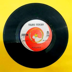 Yıldız Tezcan - Perişanım