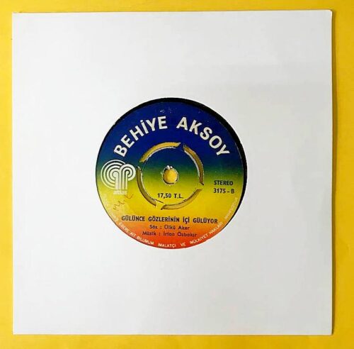 Behiye Aksoy - Kemancı - Görsel 2