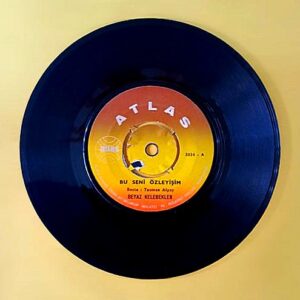 Beyaz Kelebekler - Bu Seni Özleyişim