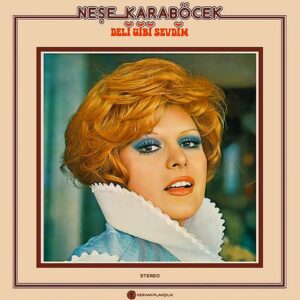 Neşe Karaböcek - Deli Gibi Sevdim