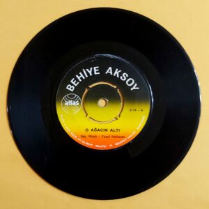 Behiye Aksoy - O ağacın altı