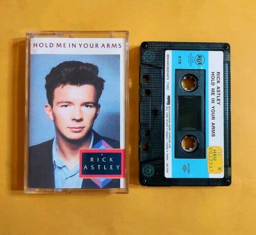 Rick Astley - Hold Me In Your Arms