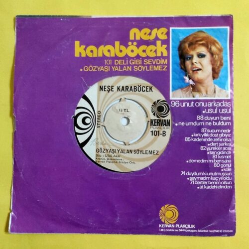 Neşe Karaböcek – Deli Gibi Sevdim - Görsel 2