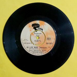 David Alexandre Winter – Oh Lady Mary - Samanyolu