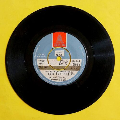 Nesrin Sipahi – Gelsen Bana - Görsel 2