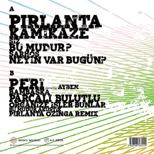 Nil Karaibrahimgil – Tek Taşımı Kendim Aldım - Görsel 2