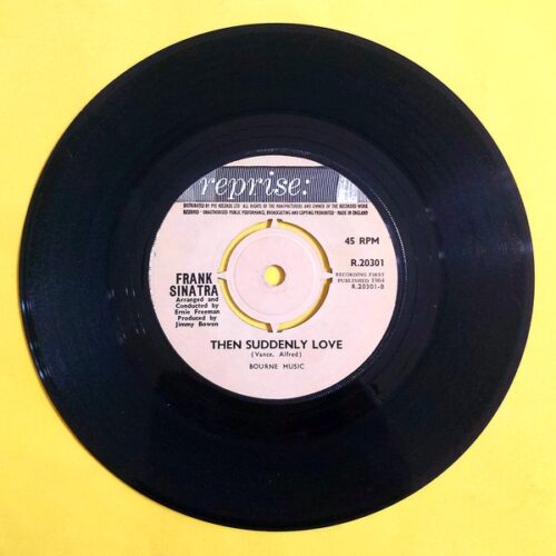 Frank Sinatra - Softly, As I Leave You - Görsel 2