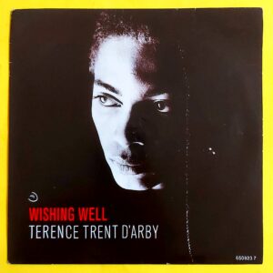 Terence Trent D'Arby - Wishing Well