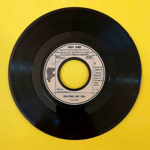 Andy Gibb - Desire - Görsel 2
