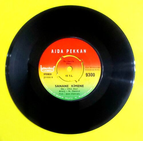 Ajda Pekkan – Hoş Gör Sen - Görsel 2