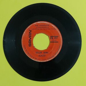 Rana Alagöz / Selçuk Alagöz – Bak Yanımdasın