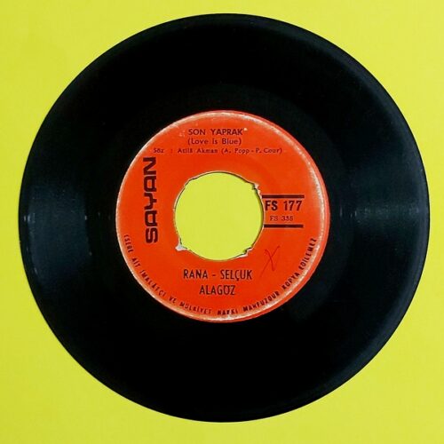 Rana Alagöz / Selçuk Alagöz – Bak Yanımdasın - Görsel 2