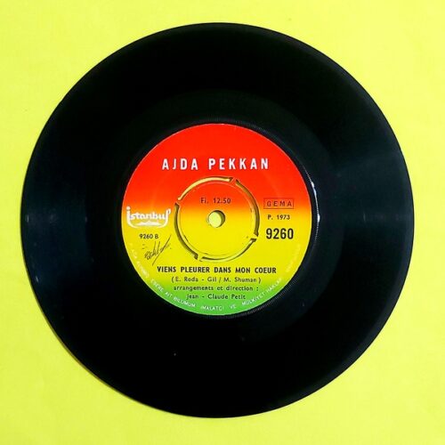 Ajda Pekkan - Babylone Babylone - Görsel 2