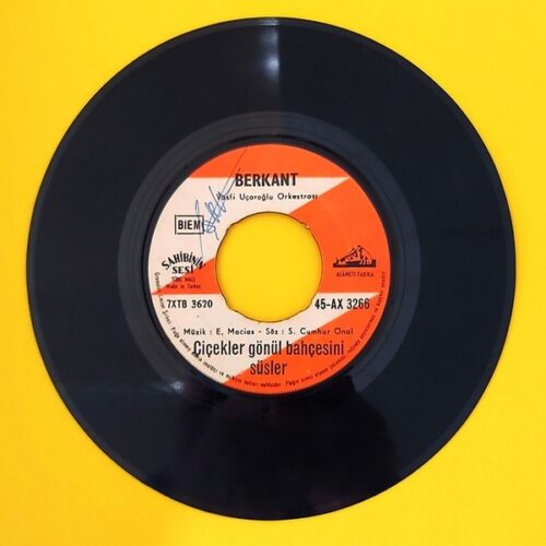 Berkant - Kısmet - Görsel 2