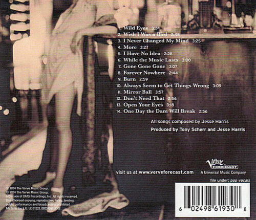 Jesse Harris / The Ferdinandos - While The Music Lasts - Görsel 2