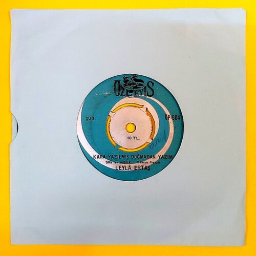 Leyla Ertaş - Yavrularım - Görsel 2