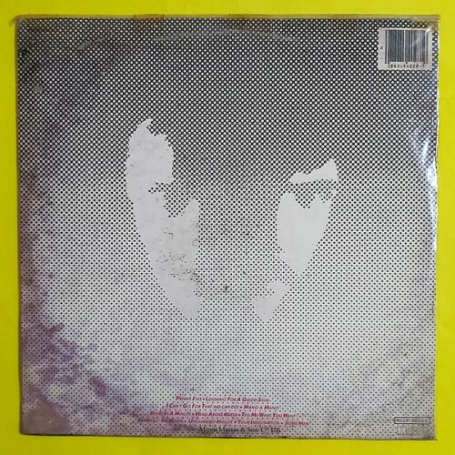 Daryl Hall, John Oates - Private Eyes - Görsel 2