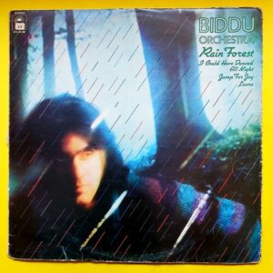 Biddu Orchestra – Rain Forest - Plak