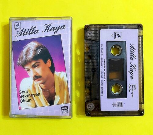 Atilla Kaya - Seni Sevmeyen Ölsün