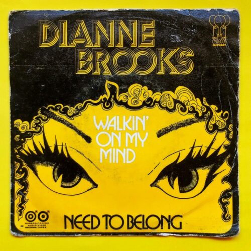 Dianne Brooks - Walking On My Mind