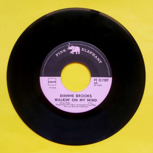 Dianne Brooks - Walking On My Mind - Görsel 2
