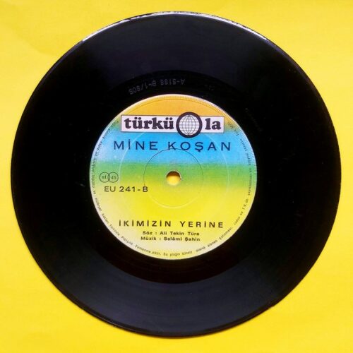 Mine Koşan - Ölene Kadar - Görsel 2
