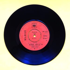 Nilüfer - Sende Söyle (Goodbye Mama)