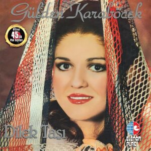 Gülden Karaböcek - Dilek Taşı - Plak