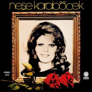 Neşe Karaböcek-Neşe Karaböcek - Plak