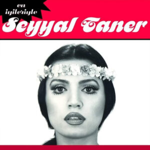 En İyileriyle - Seyyal Taner