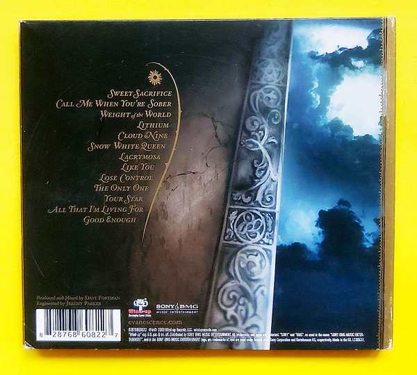 Evanescence – The Open Door - Görsel 2