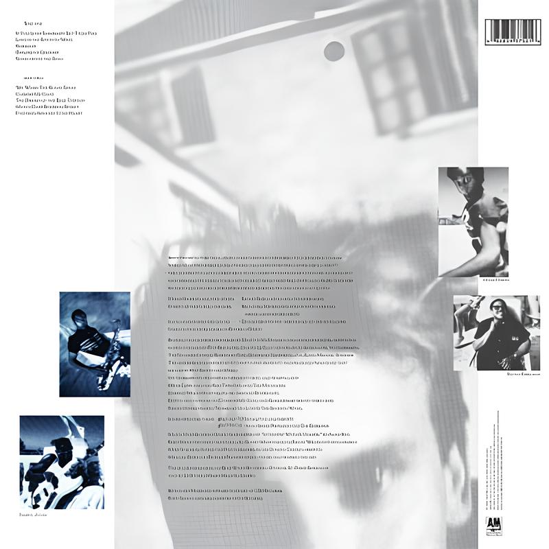 Sting – The Dream of the Blue Turtles - Görsel 2
