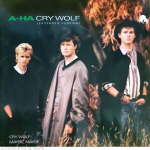 A-ha – Cry Wolf - Maxi Plak