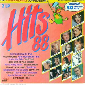 Hits 88 - Das Internationale Doppelalbum